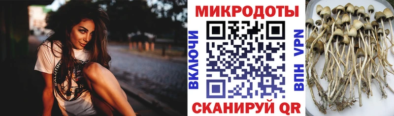 Галлюциногенные грибы мухоморы  ОМГ ОМГ как войти  Невель  где купить  